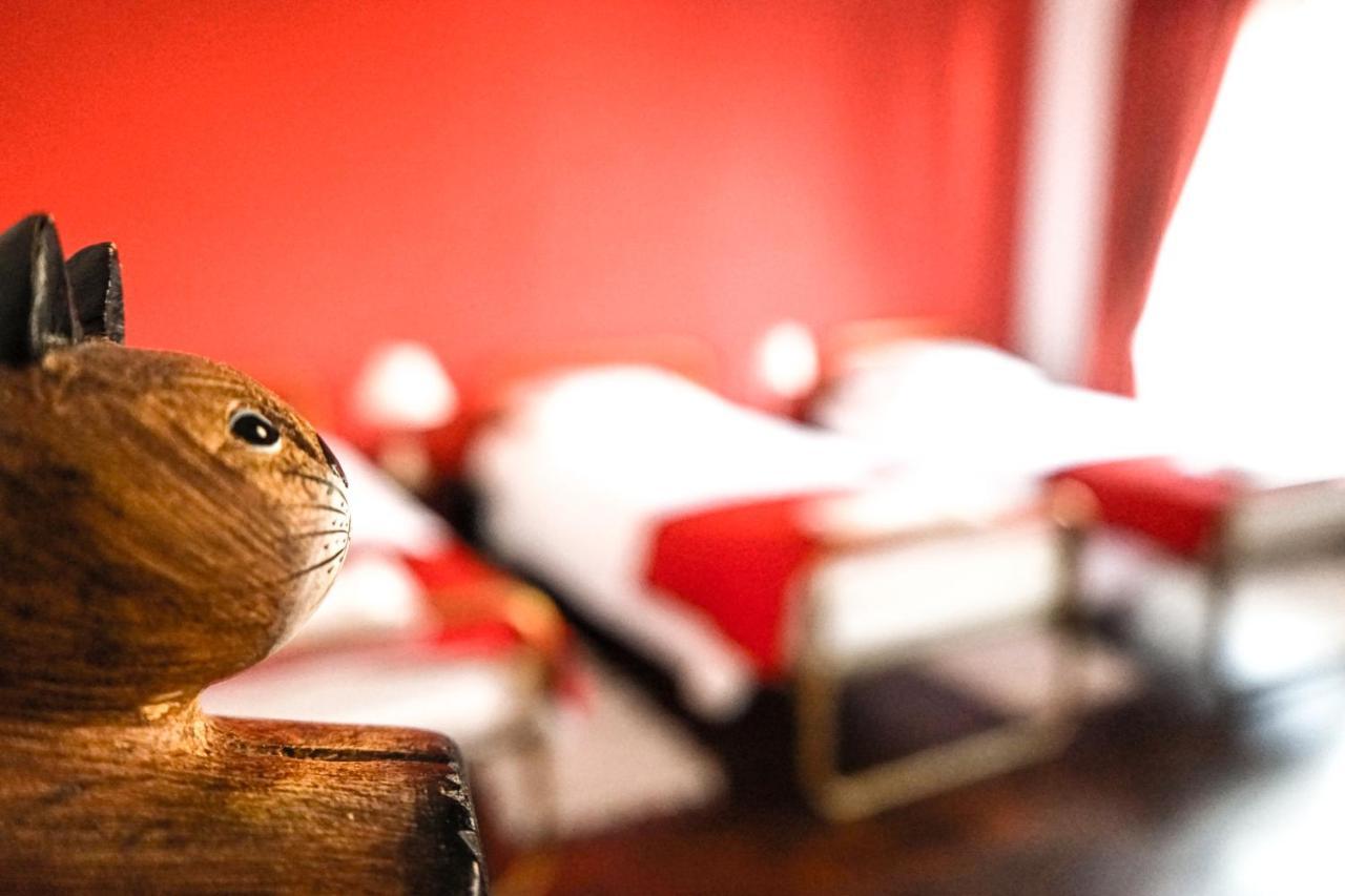 Azores Dream Hostel Ponta Delgada الغرفة الصورة